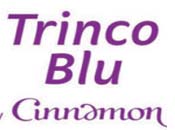 Client Logo 4